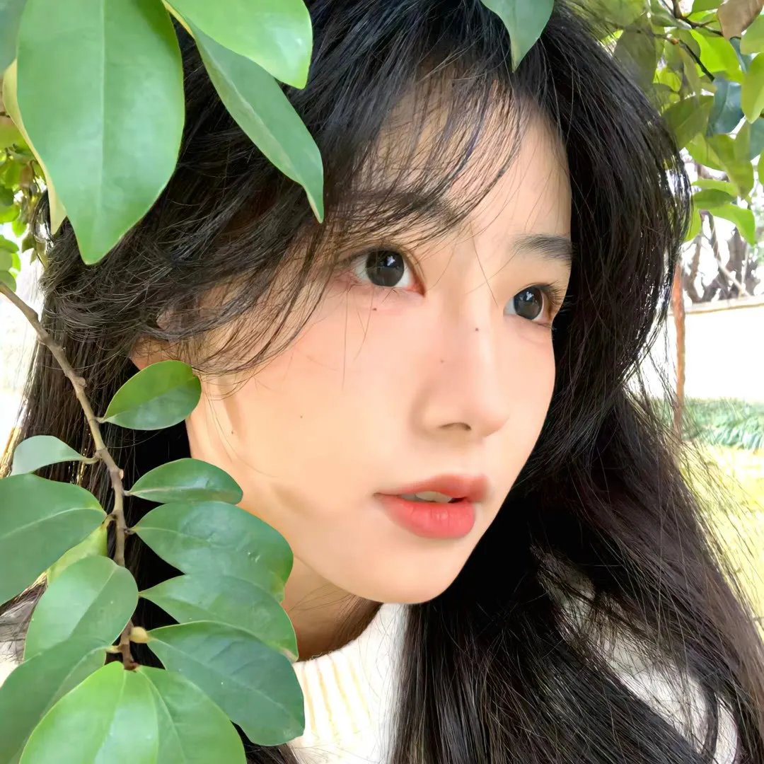 富贵吉娃娃